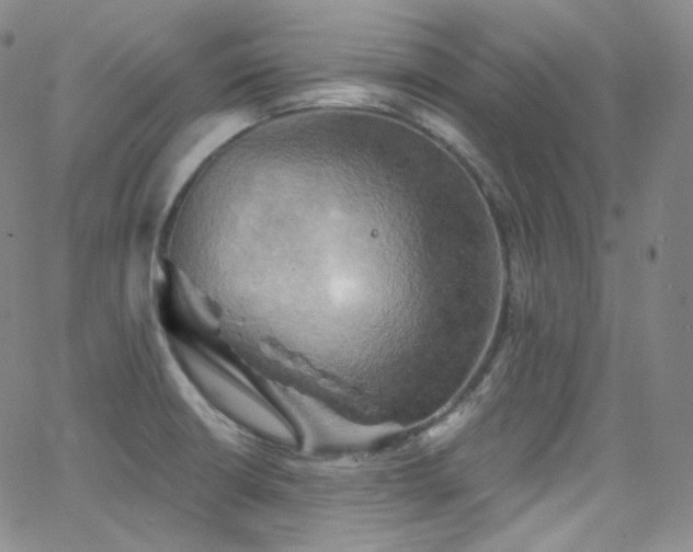 X0000063531426200601201447