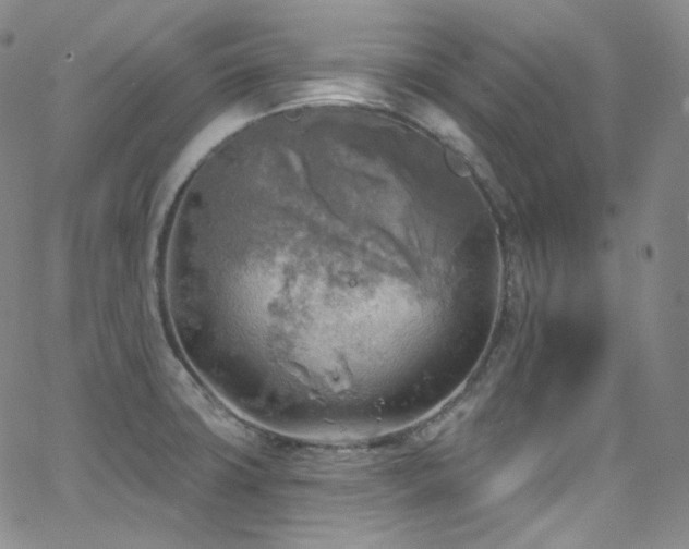 X0000063531427200601201447