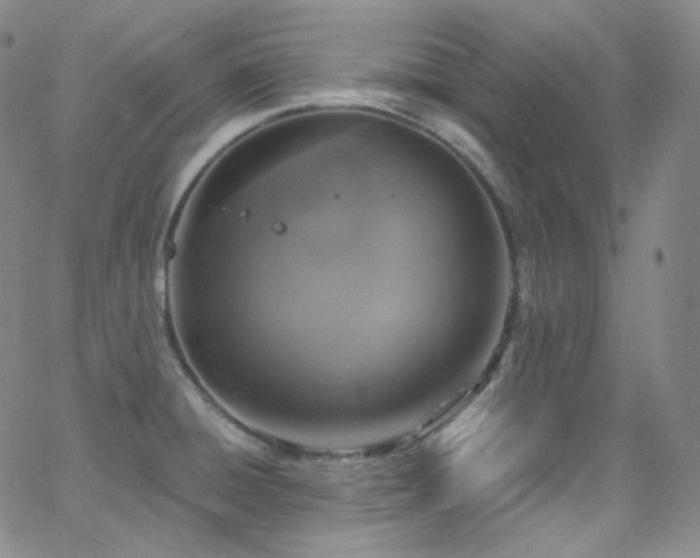 X0000063531428200601201447