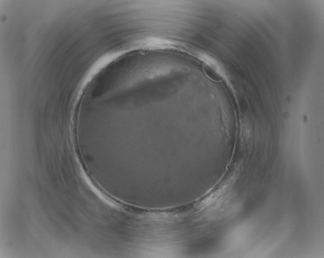 X0000063531429200601201447