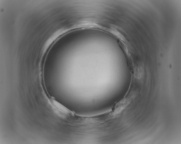 X0000063531430200601201447