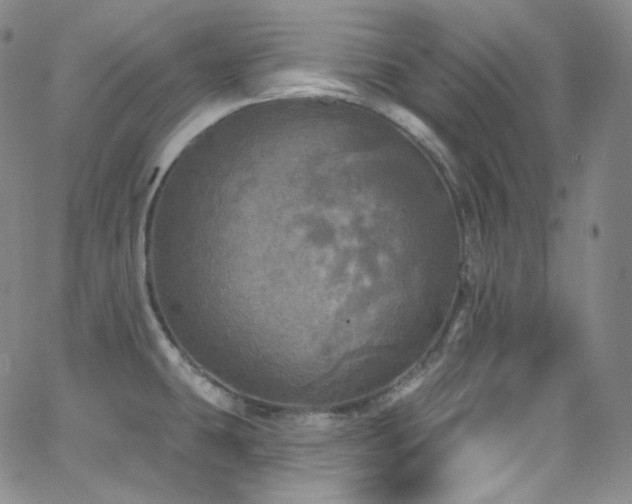 X0000063531431200601201447