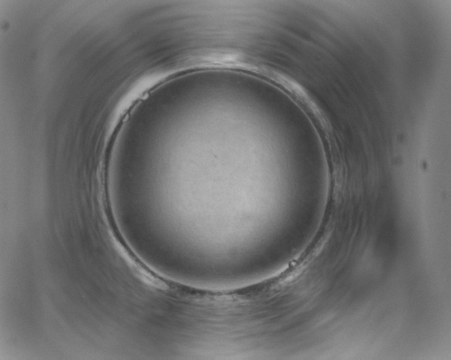 X0000063531432200601201447