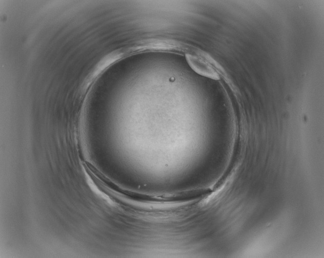 X0000063531433200601201447