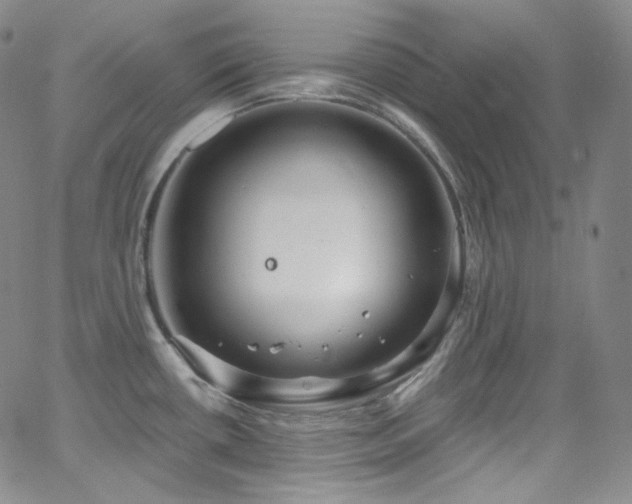 X0000063531434200601201447