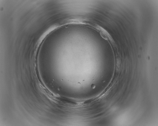 X0000063531435200601201447