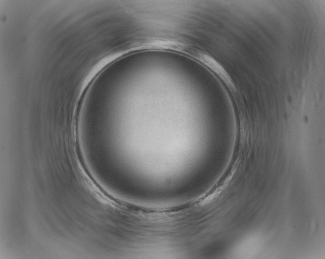 X0000063531436200601201447