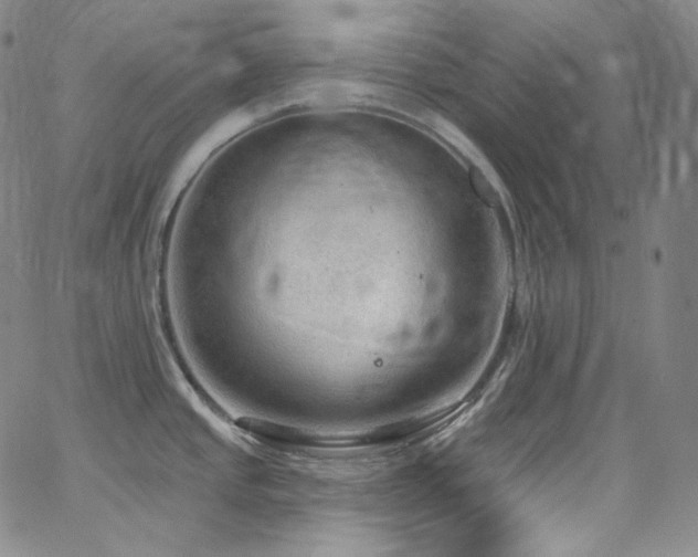 X0000063531437200601201447