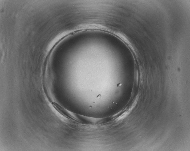 X0000063531438200601201447