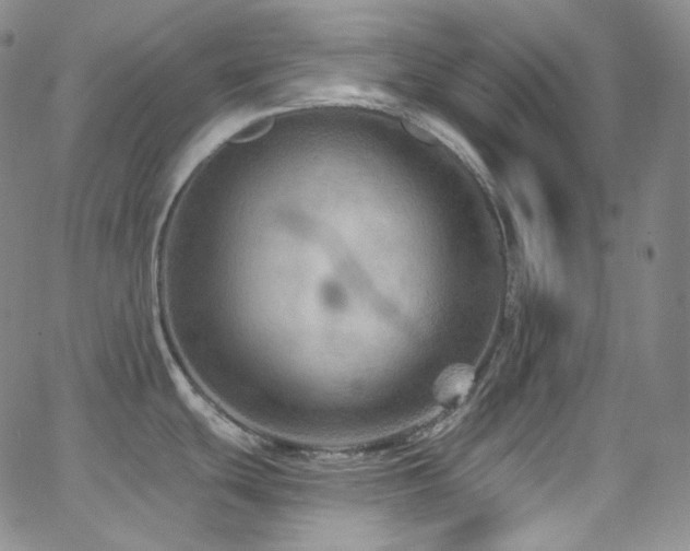 X0000063531439200601201447