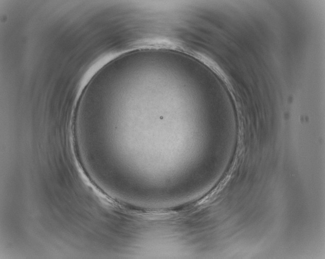 X0000063531440200601201447