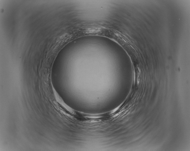 X0000063531441200601201446