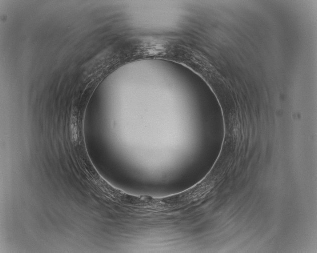 X0000063531442200601201446