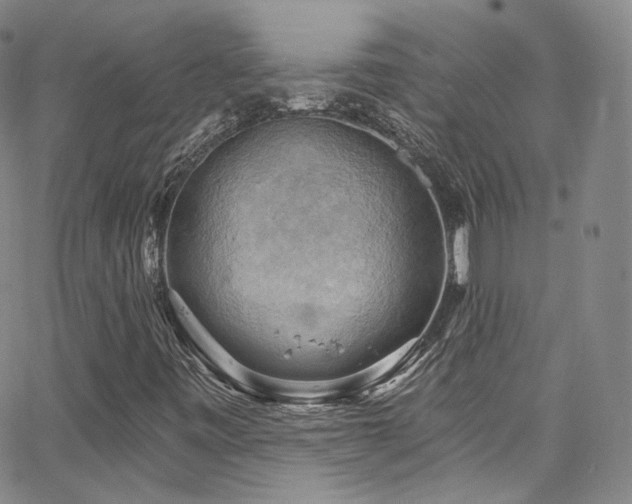 X0000063531443200601201446