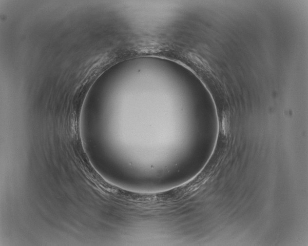 X0000063531444200601201446