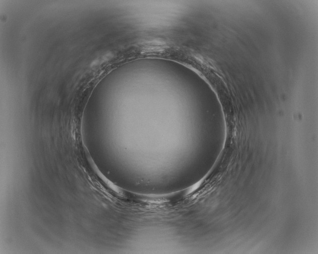 X0000063531445200601201446