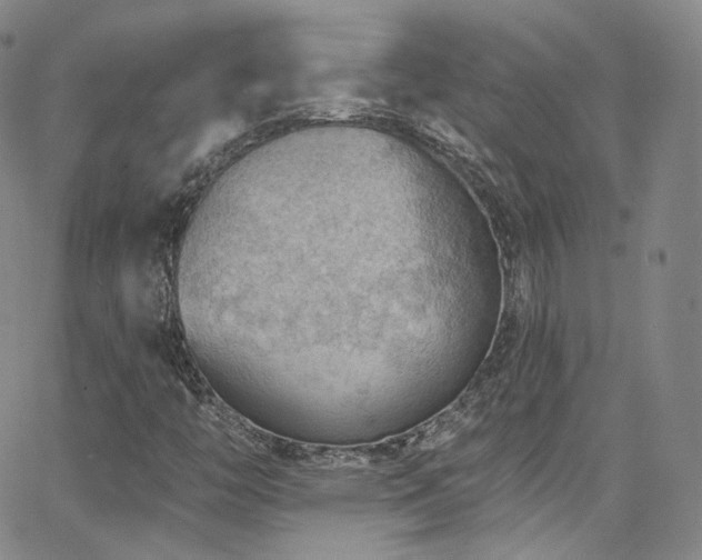 X0000063531446200601201446