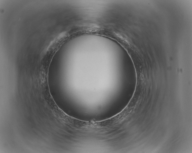 X0000063531447200601201446