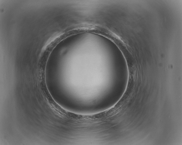 X0000063531448200601201446