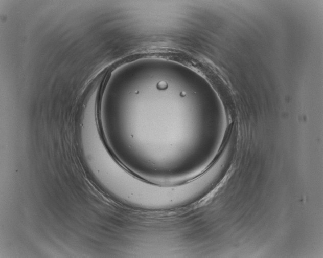 X0000063531449200601201446