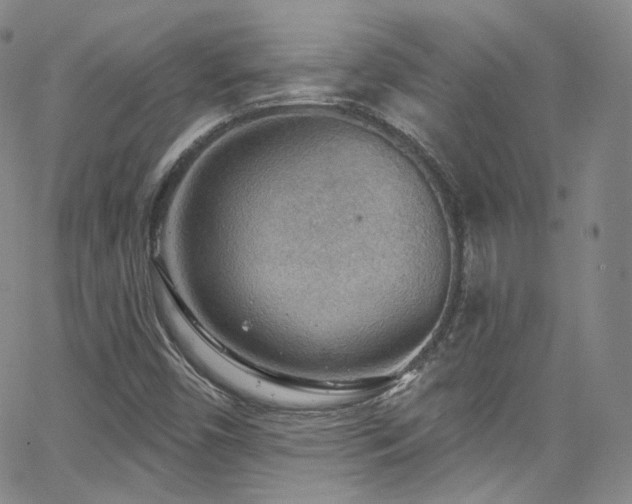 X0000063531450200601201446