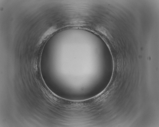 X0000063531451200601201446