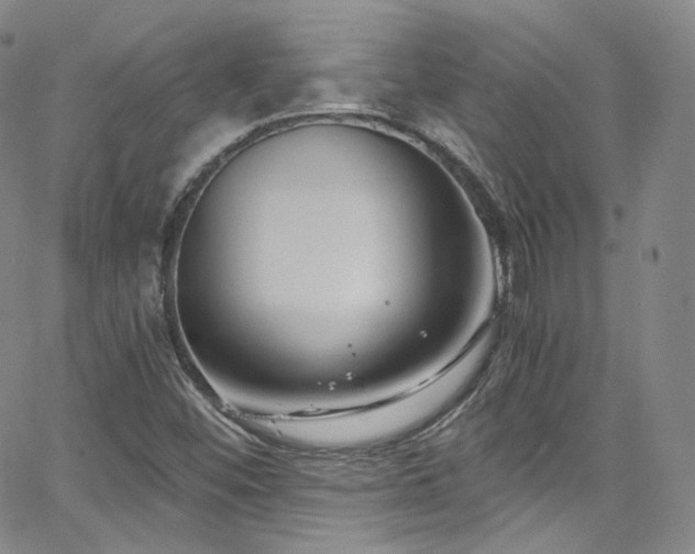 X0000063531452200601201446