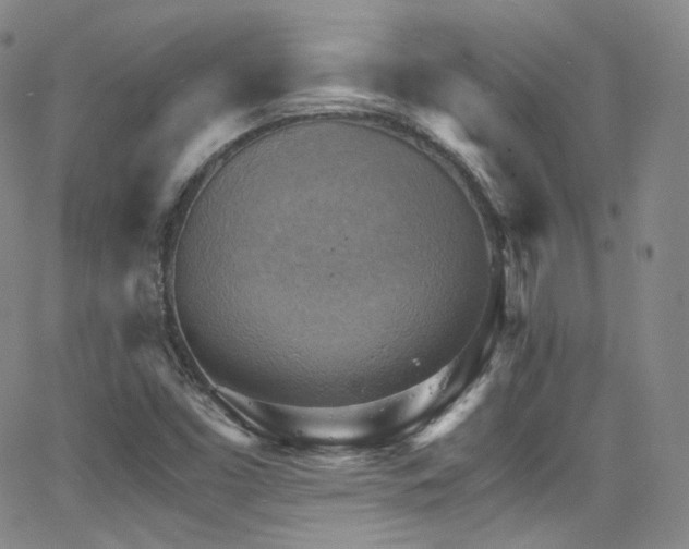 X0000063531453200601201446