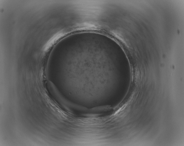 X0000063531455200601201446