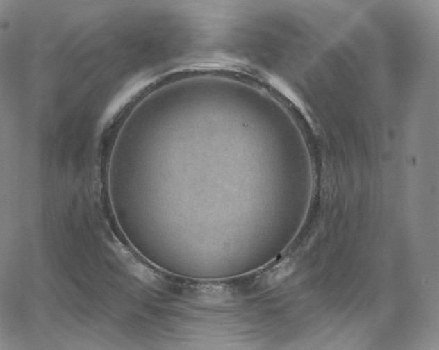 X0000063531456200601201446