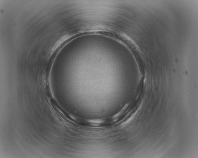 X0000063531457200601201446