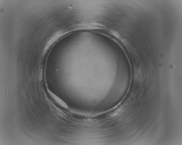 X0000063531459200601201446