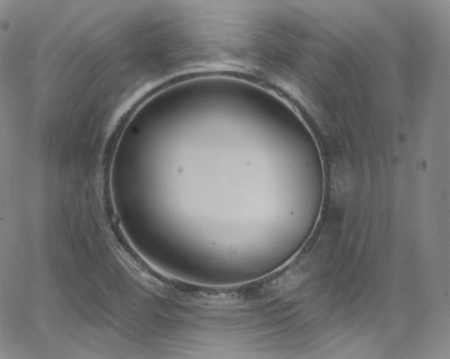 X0000063531460200601201446