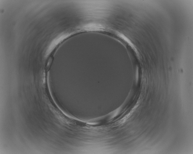 X0000063531461200601201446