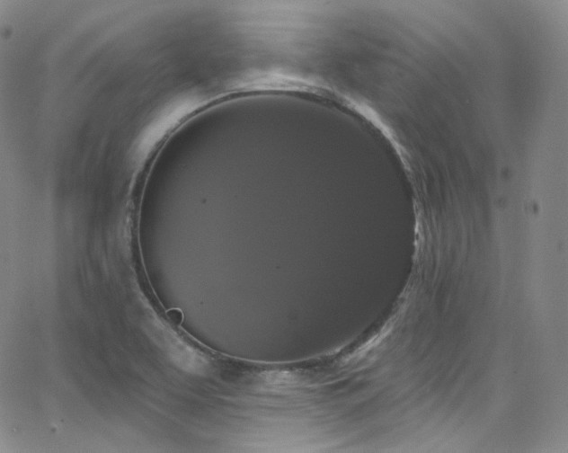 X0000063531463200601201446