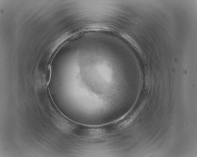 X0000063531465200601201446