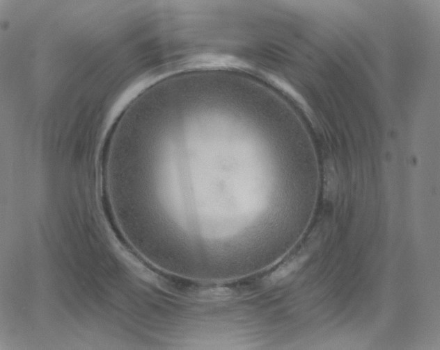 X0000063531467200601201446