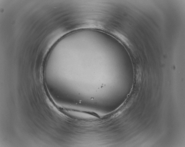 X0000063531468200601201446