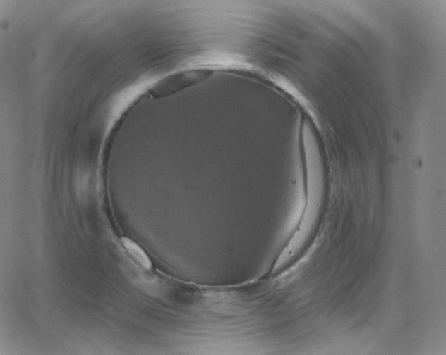 X0000063531469200601201446