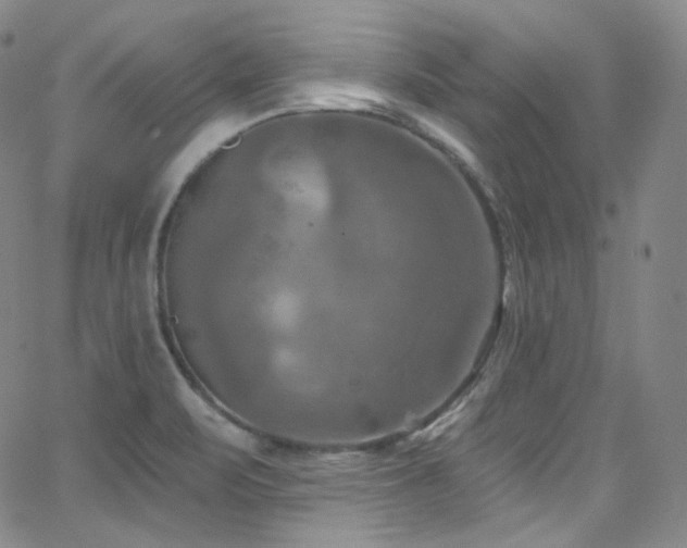 X0000063531471200601201446