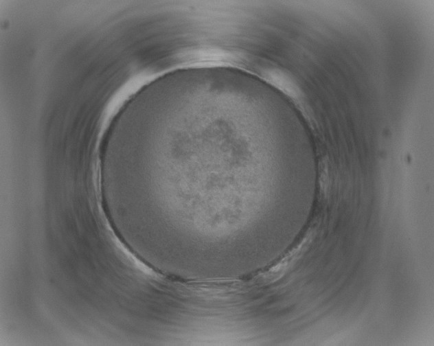 X0000063531472200601201446