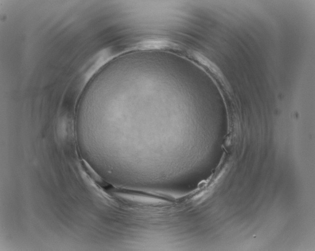 X0000063531473200601201446