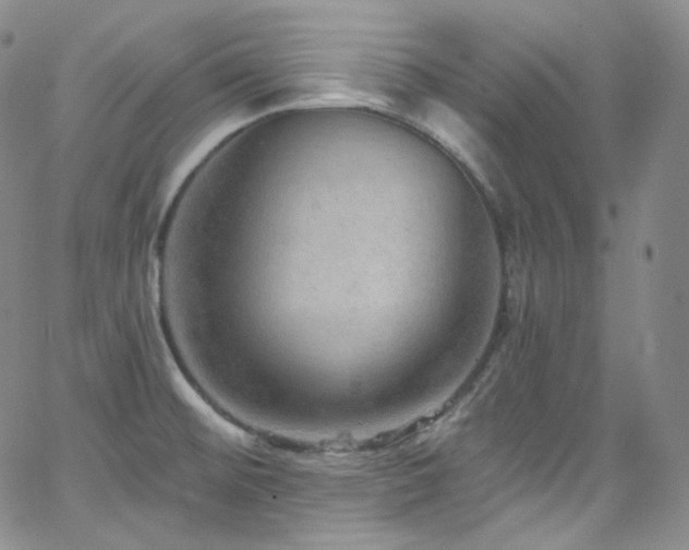 X0000063531476200601201446