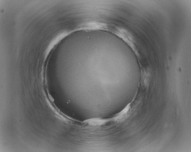 X0000063531477200601201446