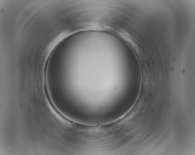 X0000063531479200601201446