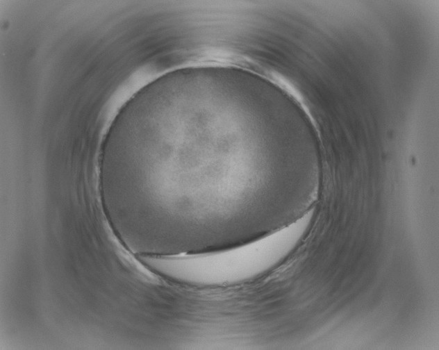 X0000063531480200601201446