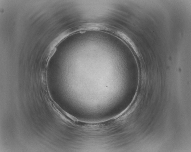 X0000063531481200601201446