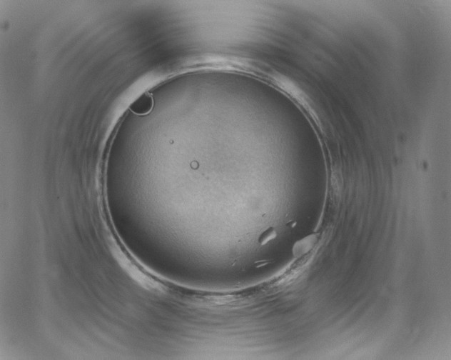 X0000063531482200601201446