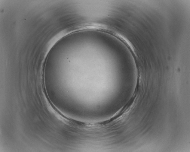 X0000063531483200601201446