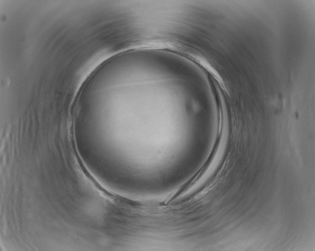 X0000063531484200601201446